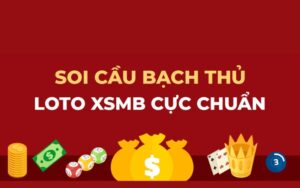 Bạch thủ đề mb là gì?