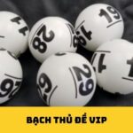 Bạch thủ đề vip là gì?